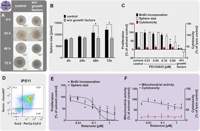 Scientific Validation of Human Neurosphere Assays for Developmental Neurotoxicity Evaluation